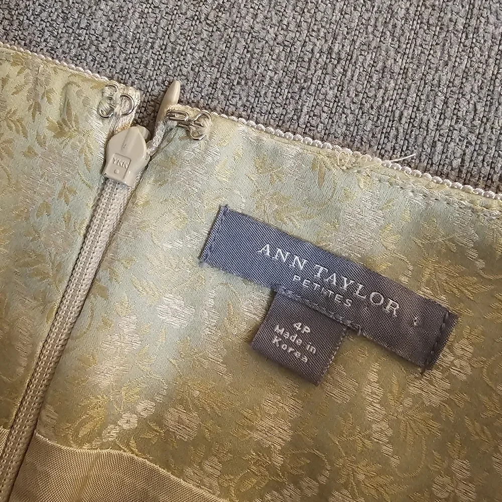 Ann Taylor Pastel Green Gold Silk Blend Delicate Detail Boho Lined Skirt Size 4P